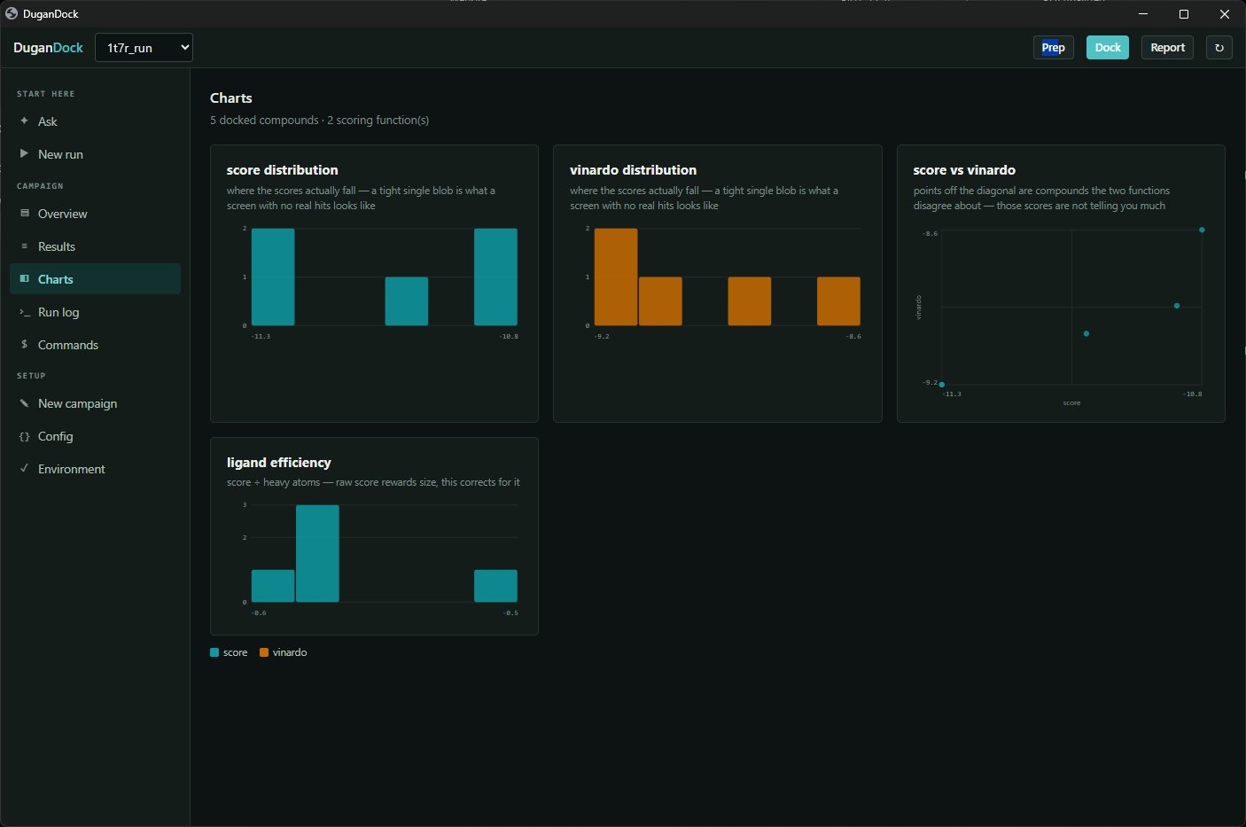 DuganDock score distribution and ligand efficiency charts